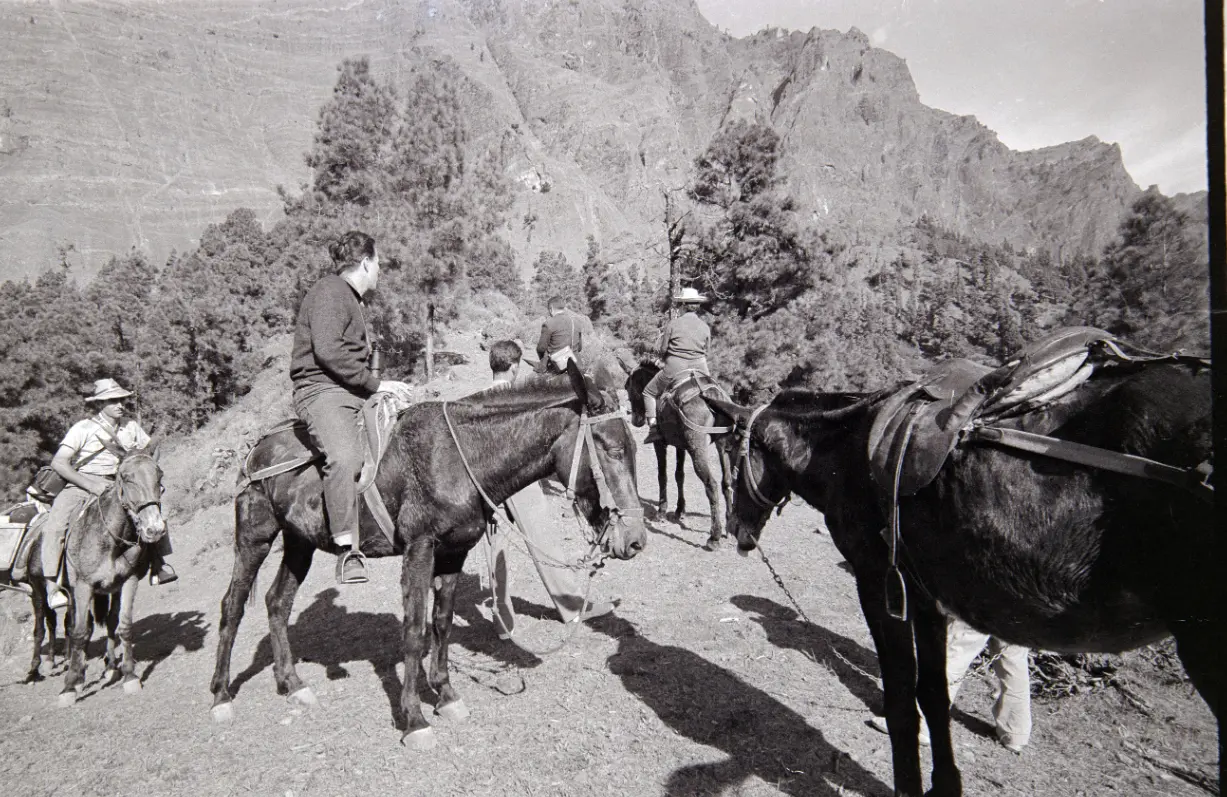 Excursión a La Caldera.